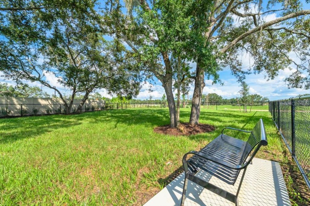 13747 Squall Lane, Hudson, FL 34669 Photo