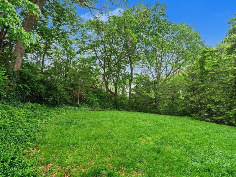 1241 Paddock Hills Avenue, Cincinnati, OH 45229 Photo 26