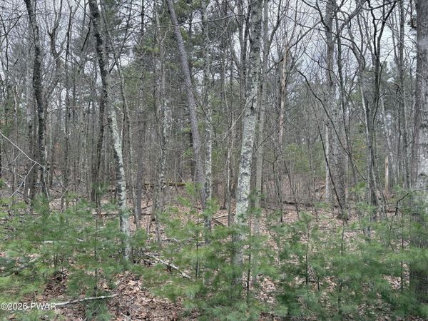 Lot 13 Juniper Terrace, Dingmans Ferry, PA 18328