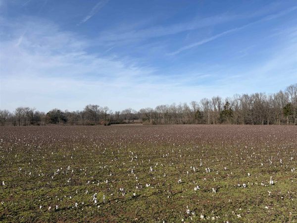 353 COTTON GROVE RD, Jackson, TN 38305