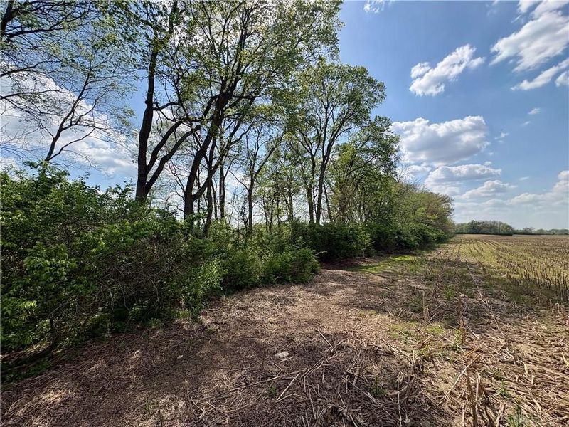 Lot 2 Tipp Elizabeth Road, Tipp City, OH 45371 Photo 14