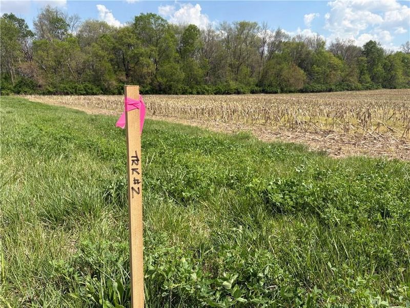 Lot 2 Tipp Elizabeth Road, Tipp City, OH 45371 Photo 3