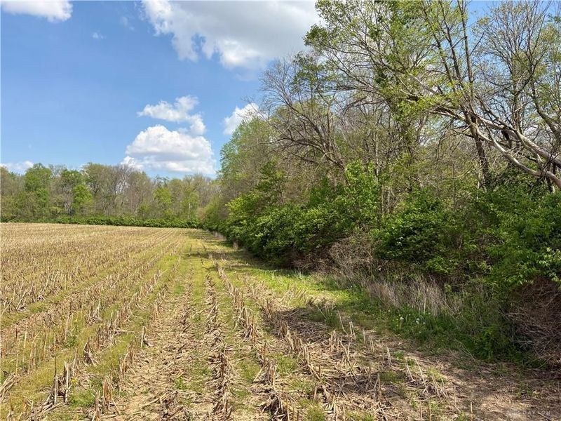 Lot 2 Tipp Elizabeth Road, Tipp City, OH 45371 Photo 6