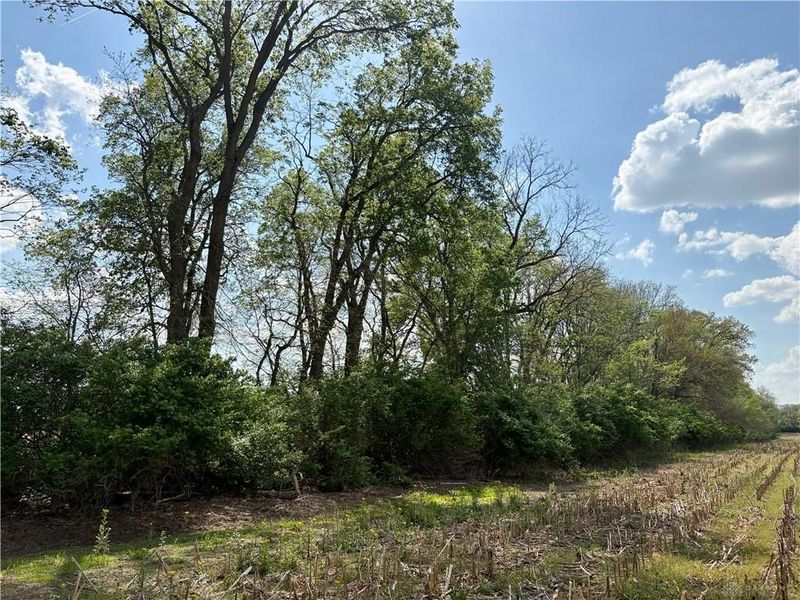 Lot 3 Tipp Elizabeth Road, Tipp City, OH 45371 Photo 12