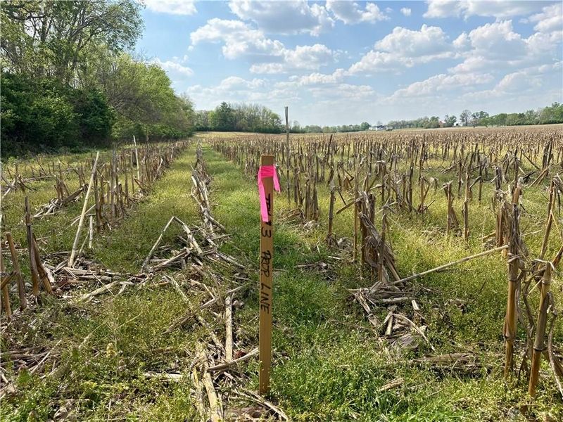 Lot 3 Tipp Elizabeth Road, Tipp City, OH 45371 Photo 12