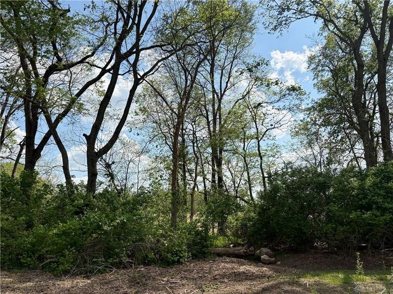 Lot 3 Tipp Elizabeth Road, Tipp City, OH 45371 Photo 13