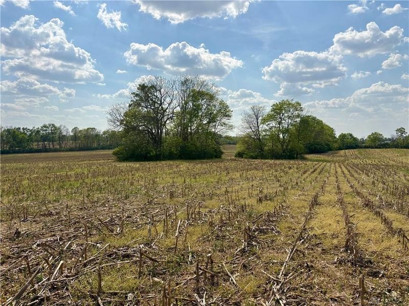Lot 3 Tipp Elizabeth Road, Tipp City, OH 45371 Photo 5