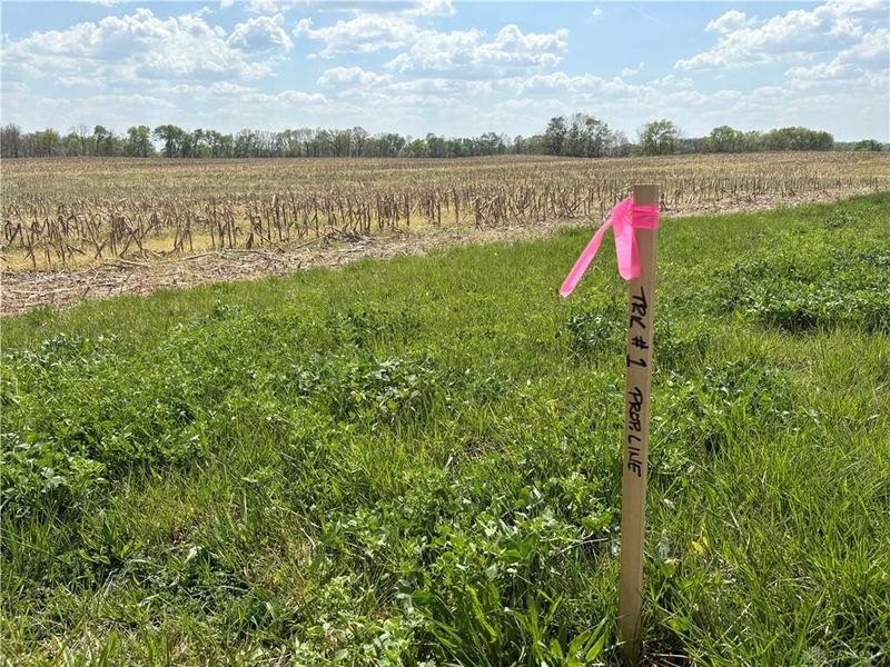 Lot 1 Tipp Elizabeth Road, Tipp City, OH 45371 Photo 3