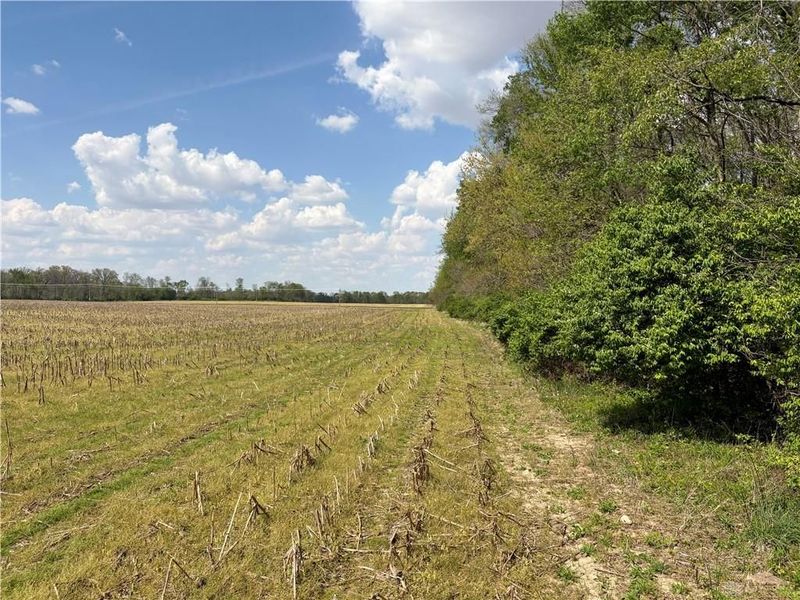 Lot 1 Tipp Elizabeth Road, Tipp City, OH 45371 Photo 6