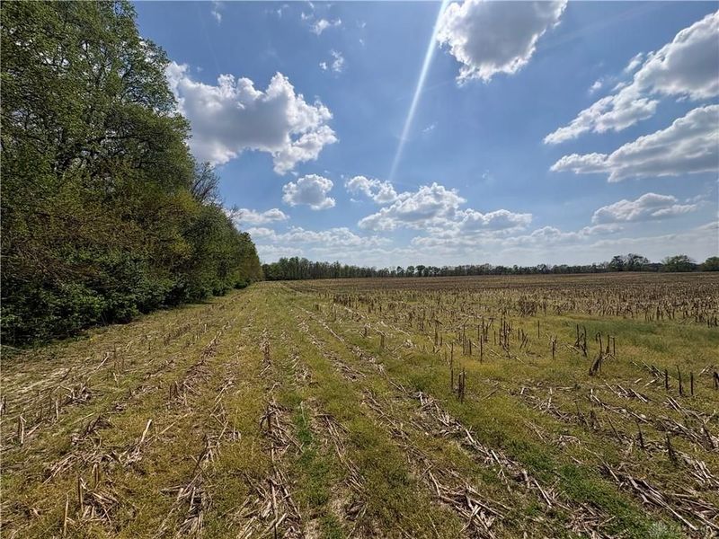 Lot 1 Tipp Elizabeth Road, Tipp City, OH 45371 Photo 9