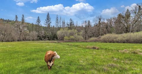 11625 Tyler Foote Rd, Nevada City, CA 95959 Photo