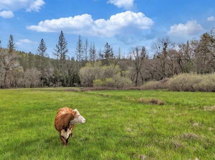 11625 Tyler Foote Rd, Nevada City, CA 95959 Photo