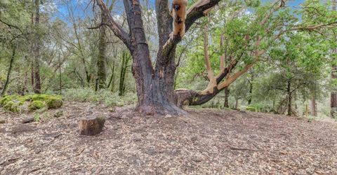 11625 Tyler Foote Rd, Nevada City, CA 95959 Photo