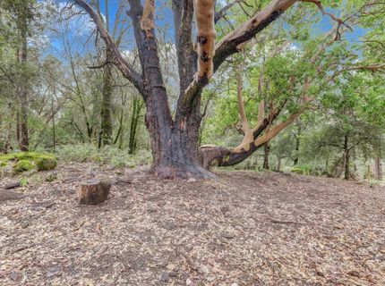 11625 Tyler Foote Rd, Nevada City, CA 95959 Photo