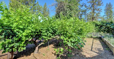 11625 Tyler Foote Rd, Nevada City, CA 95959 Photo
