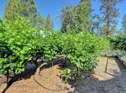 11625 Tyler Foote Rd, Nevada City, CA 95959 Photo