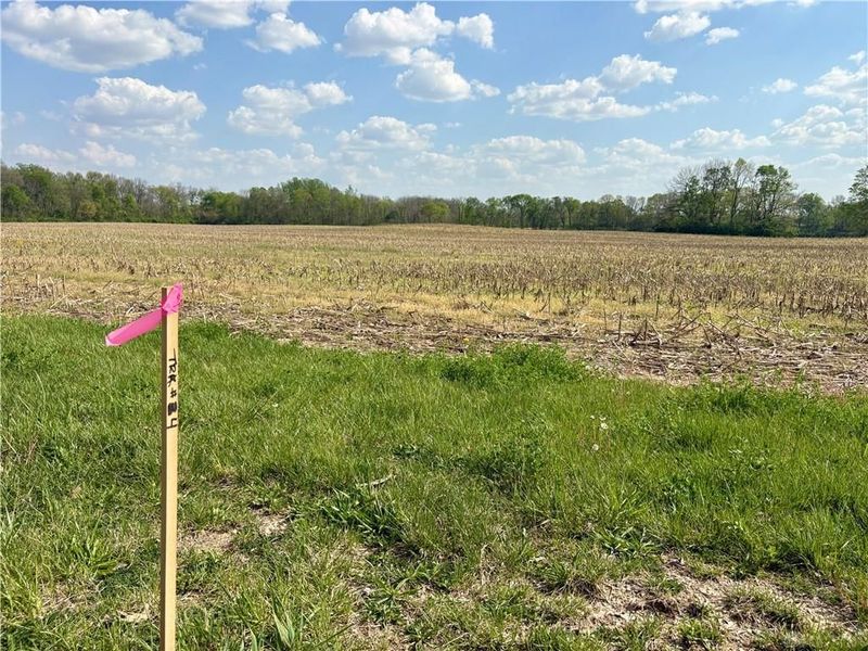 Lot 4 Tipp Elizabeth Road, Tipp City, OH 45371 Photo 13