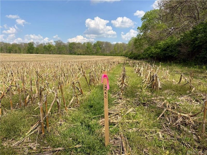 Lot 4 Tipp Elizabeth Road, Tipp City, OH 45371 Photo 2