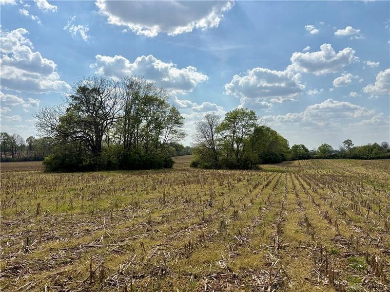 Lot 4 Tipp Elizabeth Road, Tipp City, OH 45371 Photo 4