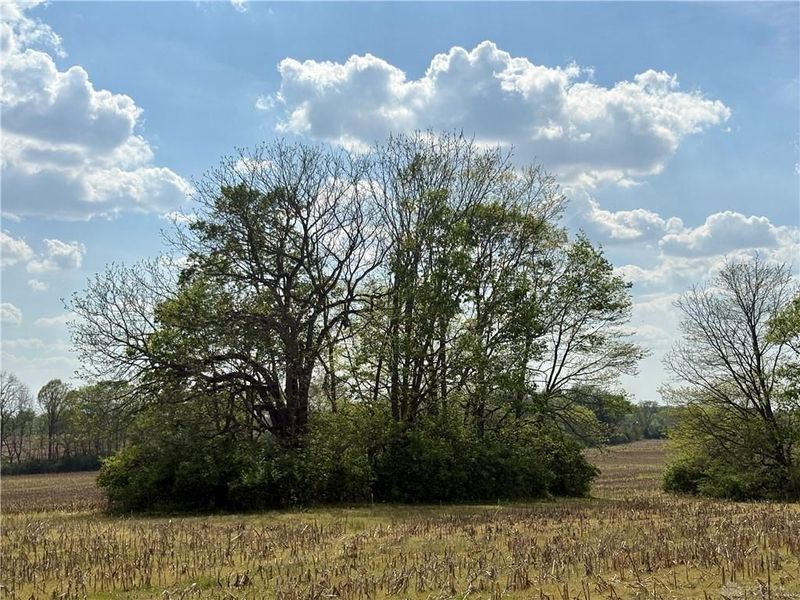 Lot 4 Tipp Elizabeth Road, Tipp City, OH 45371 Photo 9