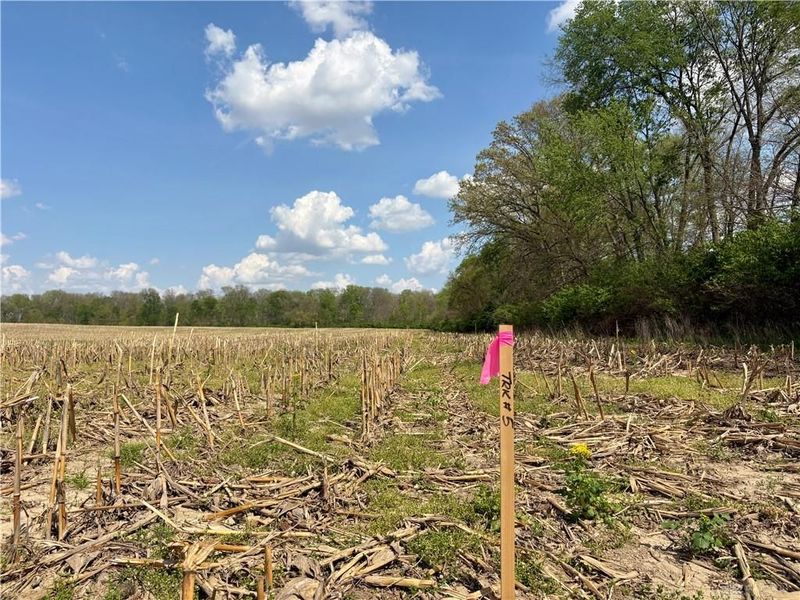Lot 5 Tipp Elizabeth Road, Tipp City, OH 45371 Photo 12