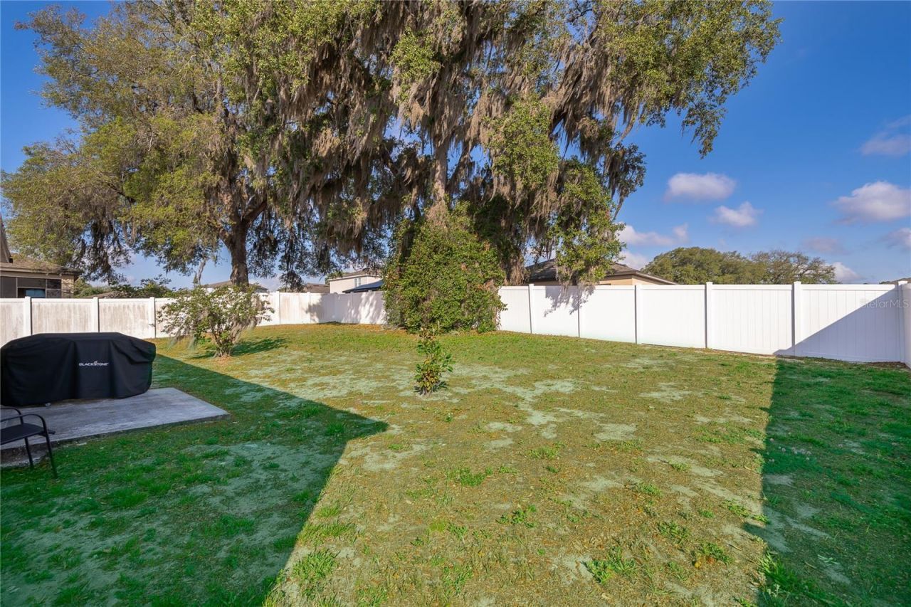 15824 Surfbird Court, Mascotte, FL 34753 Photo