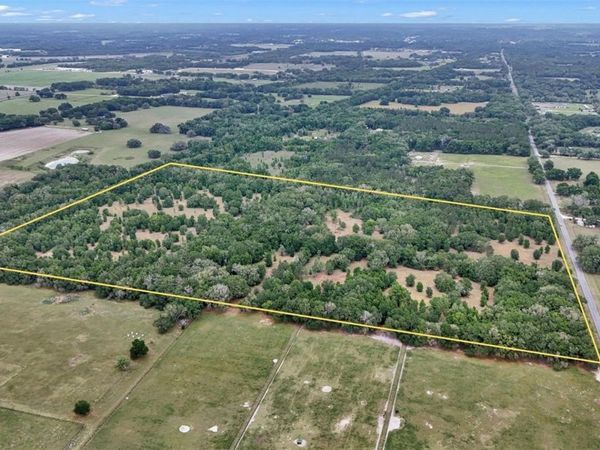 650 NE 200TH AVENUE , WILLISTON, FL 32696