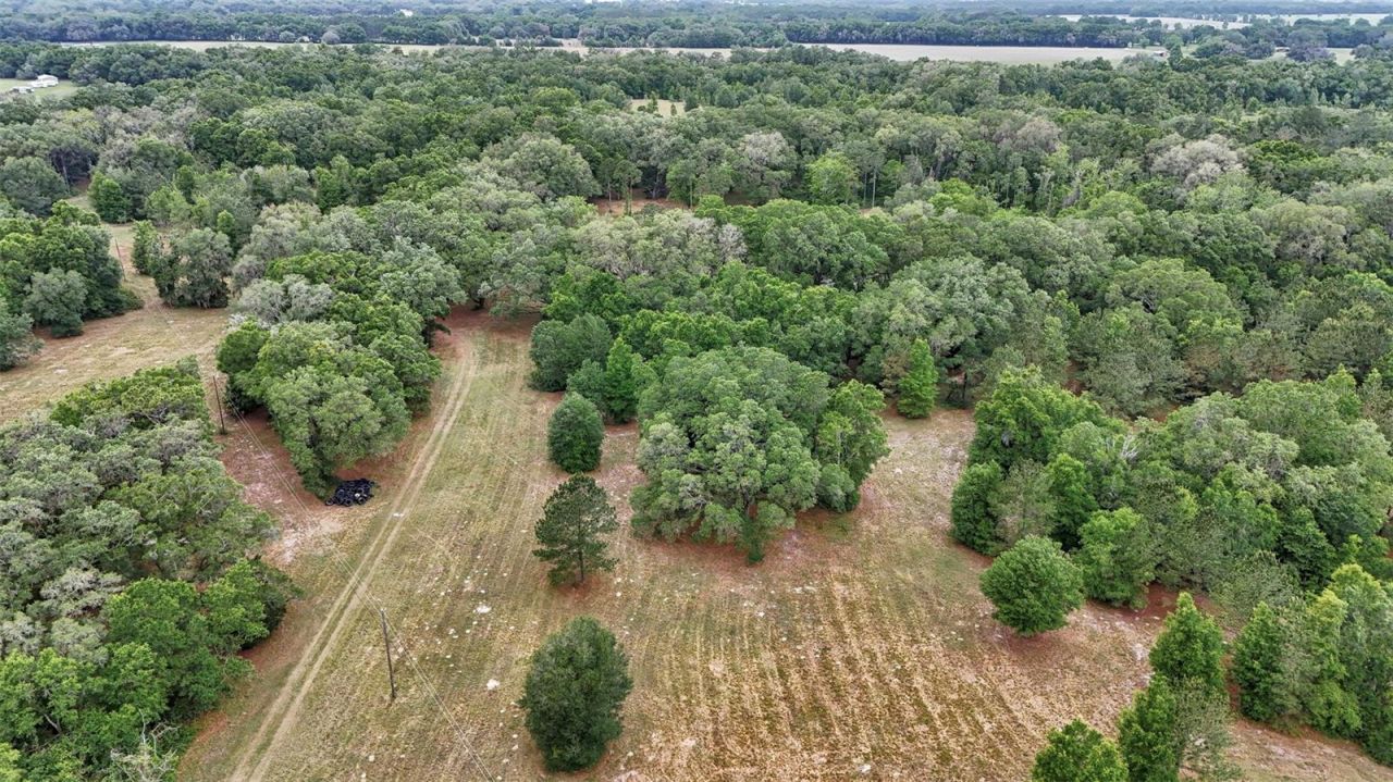 650 NE 200th Avenue, Williston, FL 32696 Photo