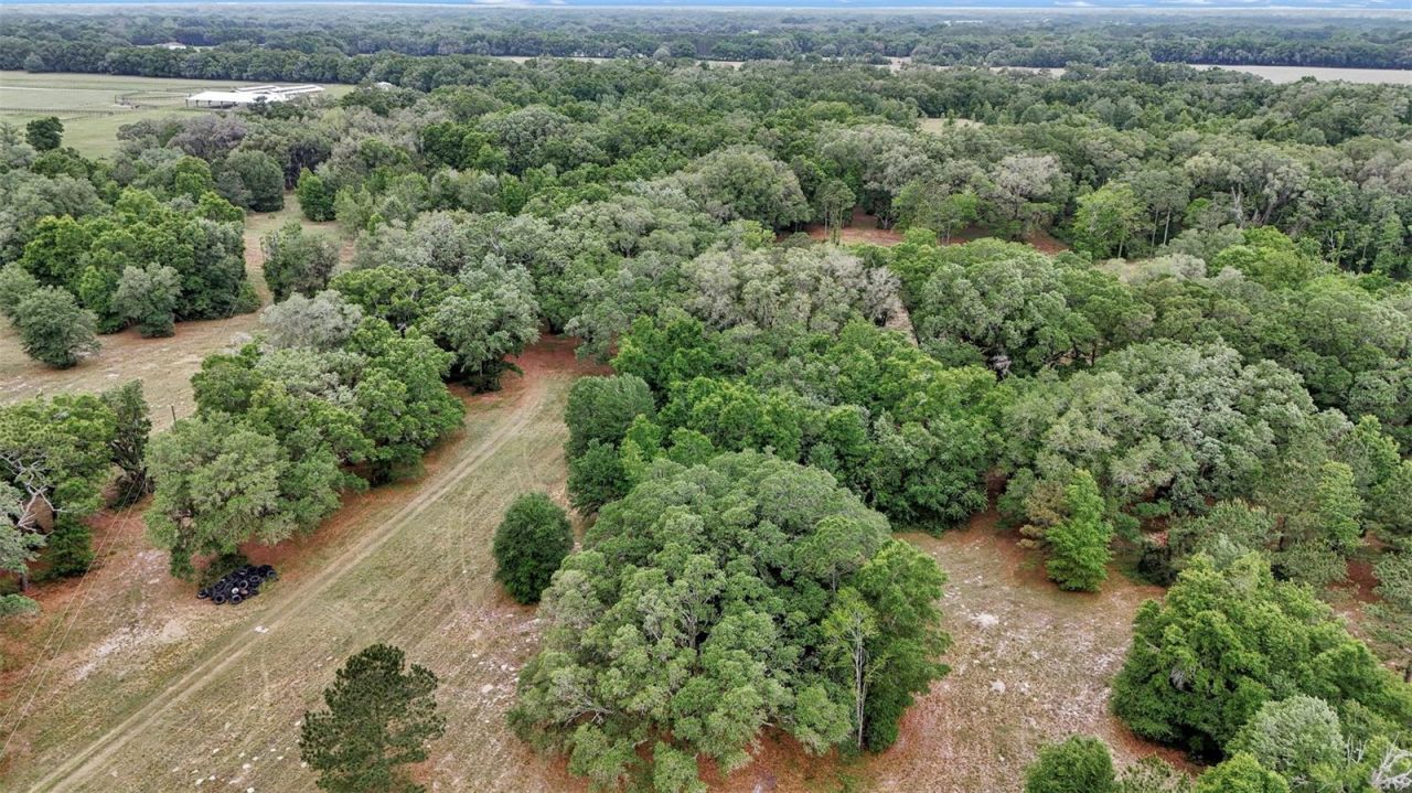 650 NE 200th Avenue, Williston, FL 32696 Photo