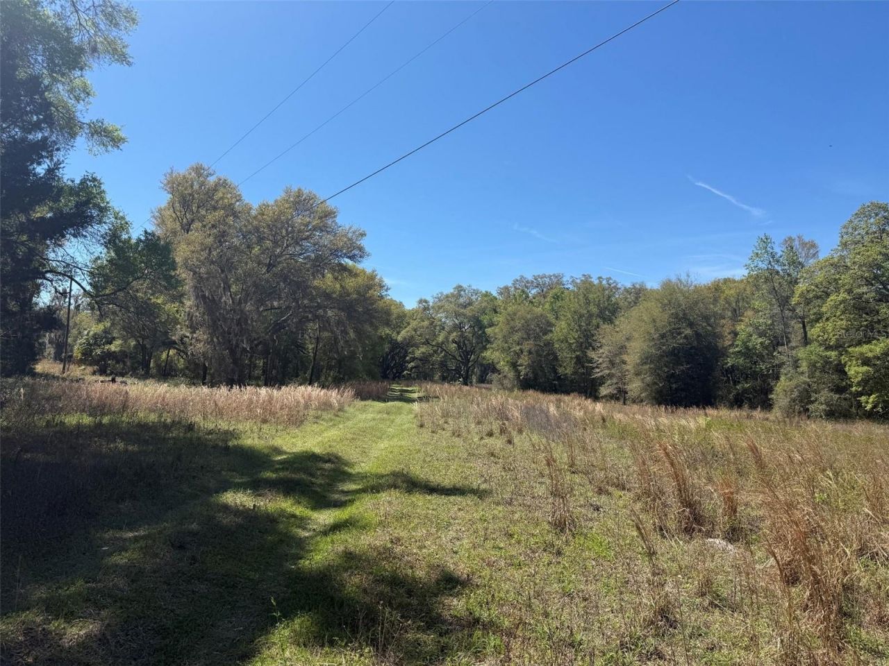 650 NE 200th Avenue, Williston, FL 32696 Photo