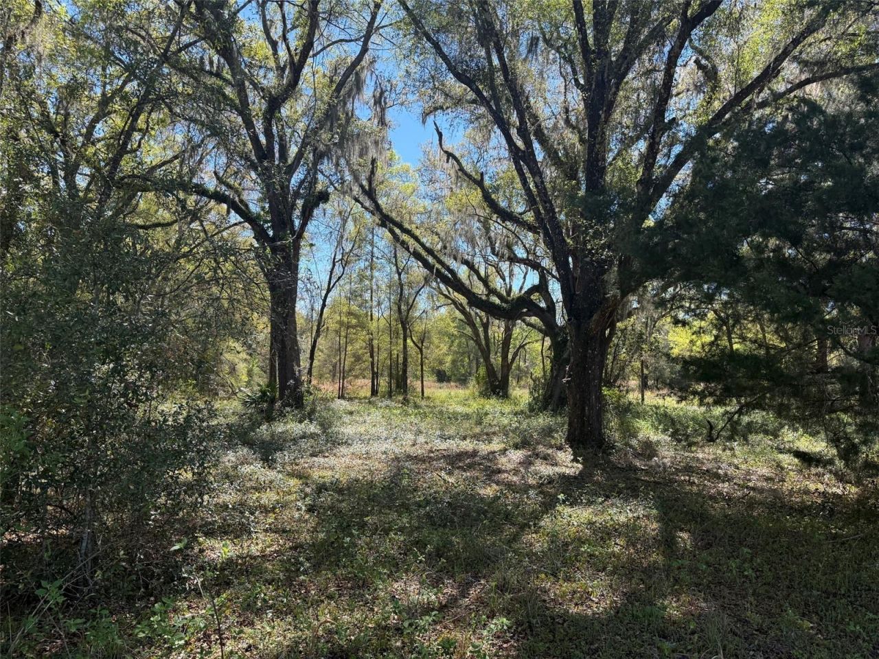 650 NE 200th Avenue, Williston, FL 32696 Photo