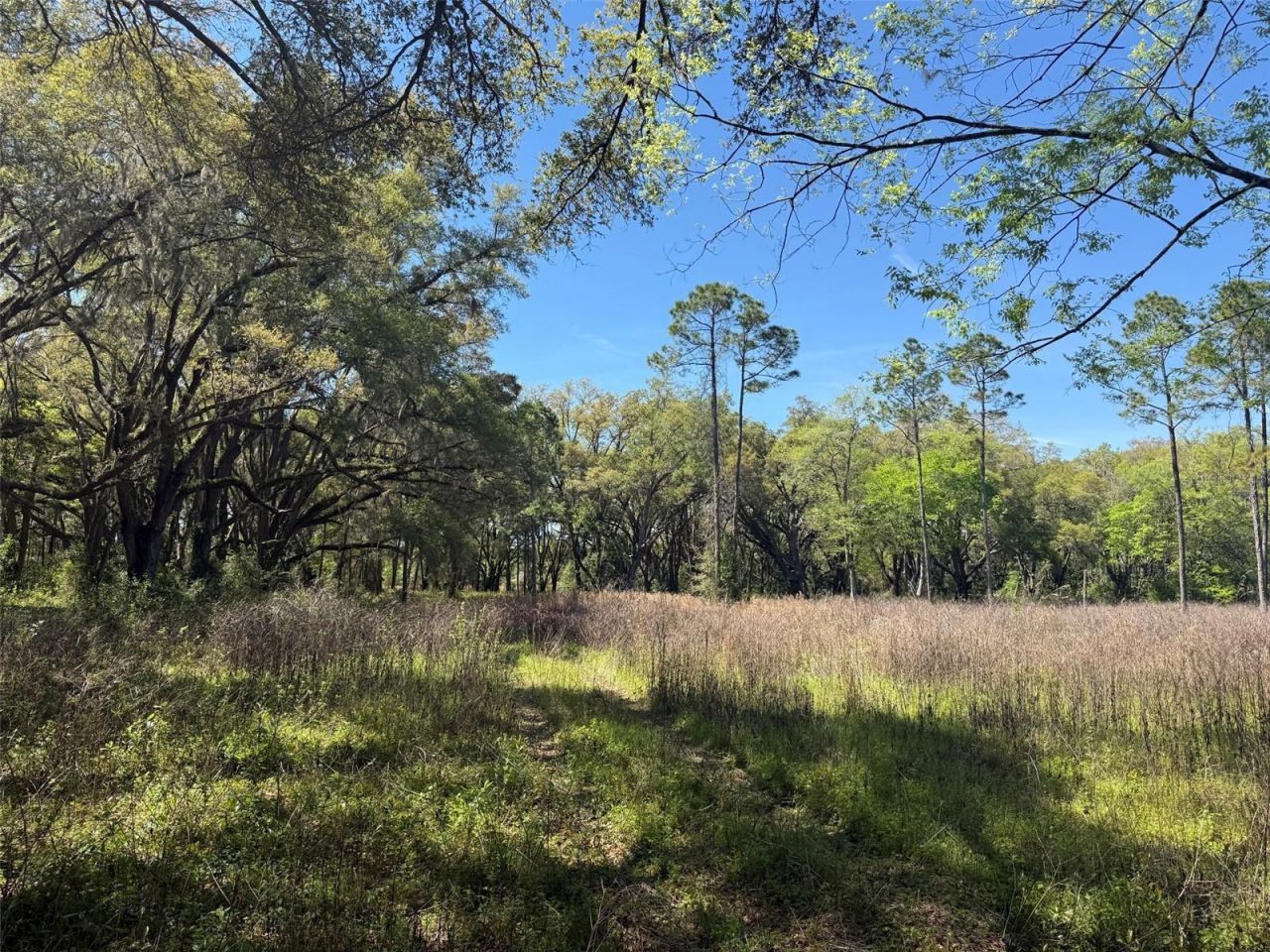 650 NE 200th Avenue, Williston, FL 32696 Photo