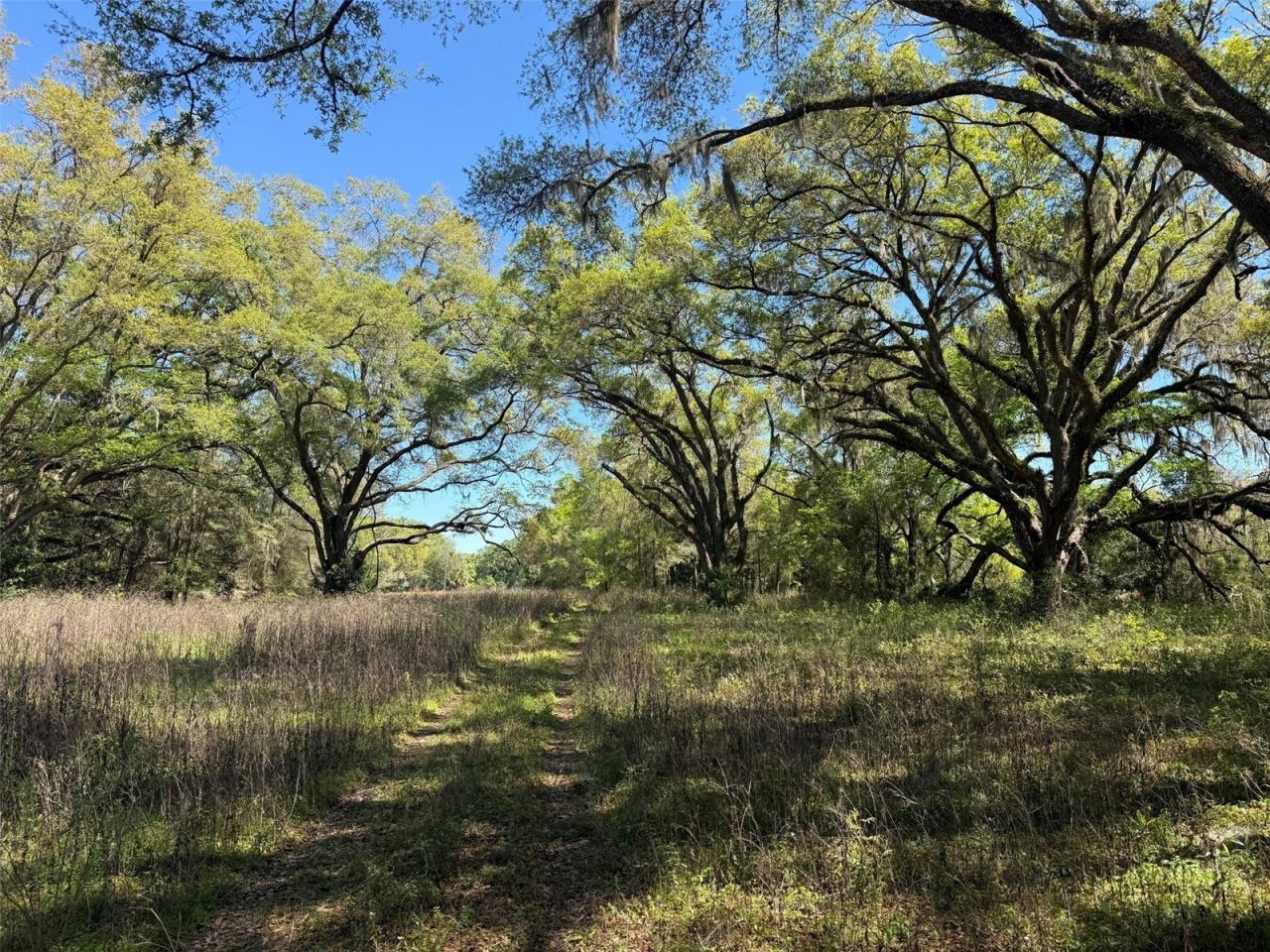 650 NE 200th Avenue, Williston, FL 32696 Photo
