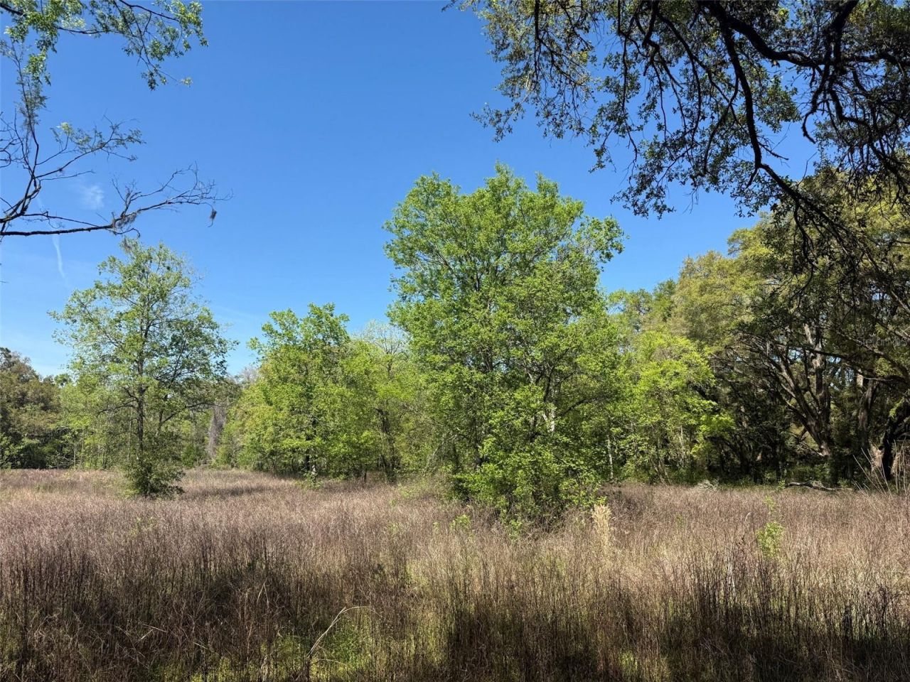 650 NE 200th Avenue, Williston, FL 32696 Photo