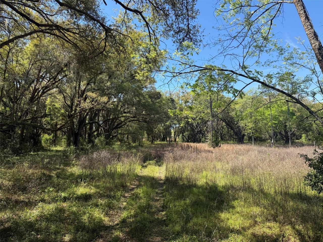 650 NE 200th Avenue, Williston, FL 32696 Photo