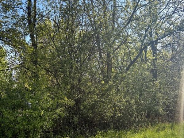 3221 & 3241 Glen Flora Avenue , Waukegan, IL 60085