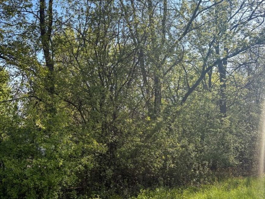 Main Photo