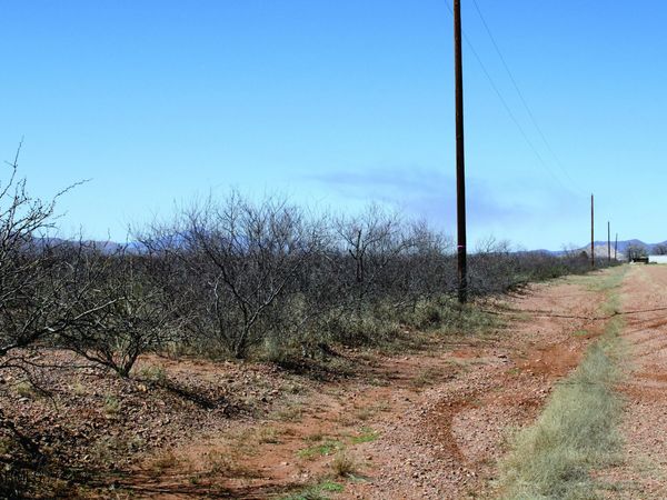 .22 Acre N Mesa Court, Unit 1070, Douglas, AZ 85607