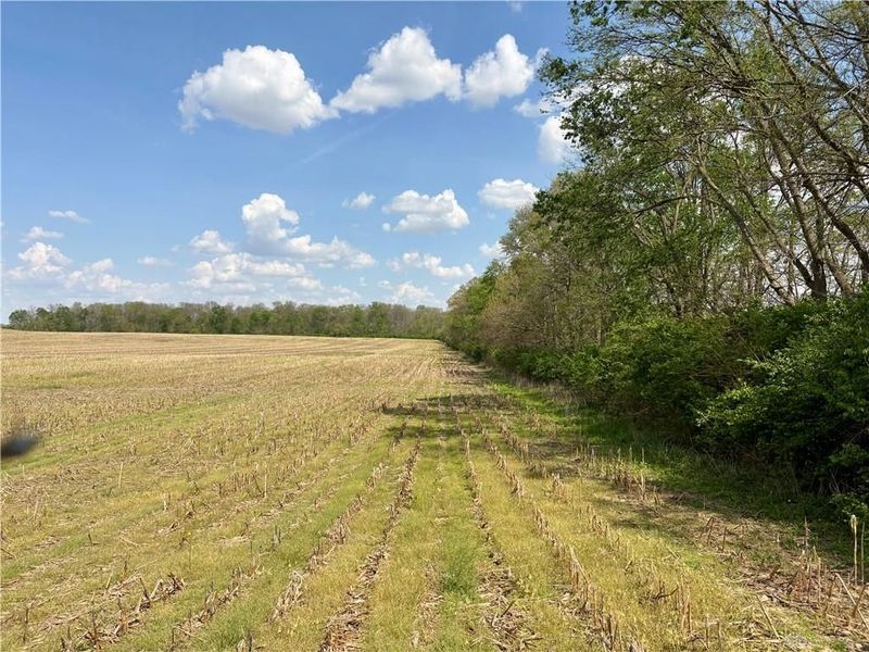 Lot 6 Tipp Elizabeth Road, Tipp City, OH 45371 Photo 8