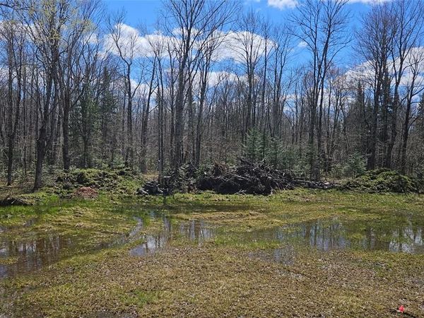 12331 Delap Lane, Couderay, WI 54828