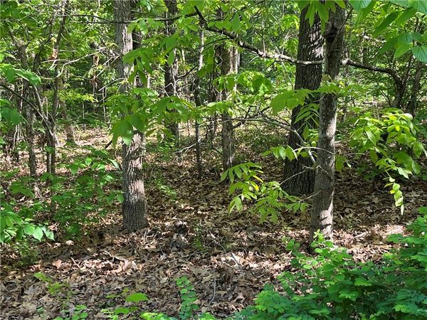 Lot 6 Block 8 Welland Lane , Bella Vista, AR 72715