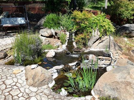 15301-15303 Indian Springs Rd, Penn Valley, CA 95946 Photo