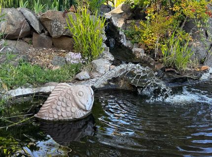 15301-15303 Indian Springs Rd, Penn Valley, CA 95946 Photo