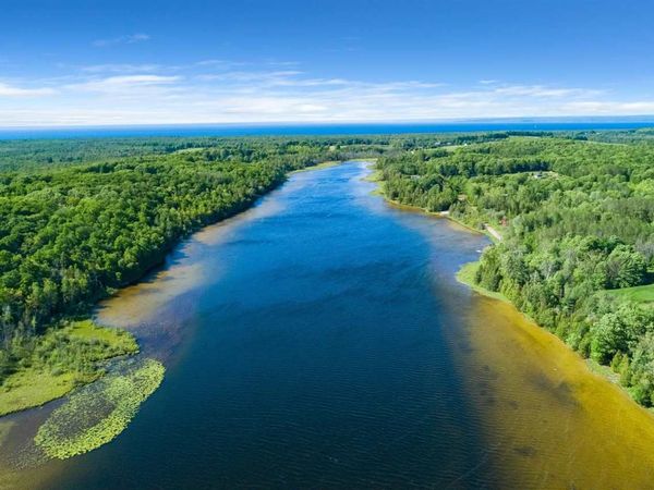 7777 Mulberry Lane, Charlevoix, MI 49720