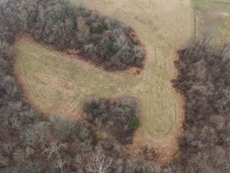 7812 E Bend Road, Burlington, KY 41005 Photo 23