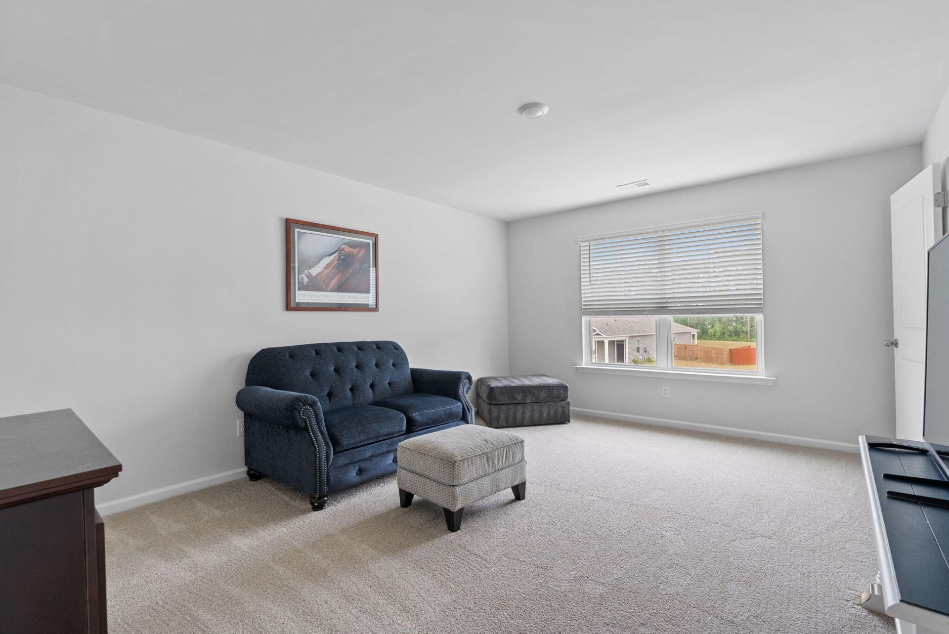 134 Ivory Shadow Road Photo 22