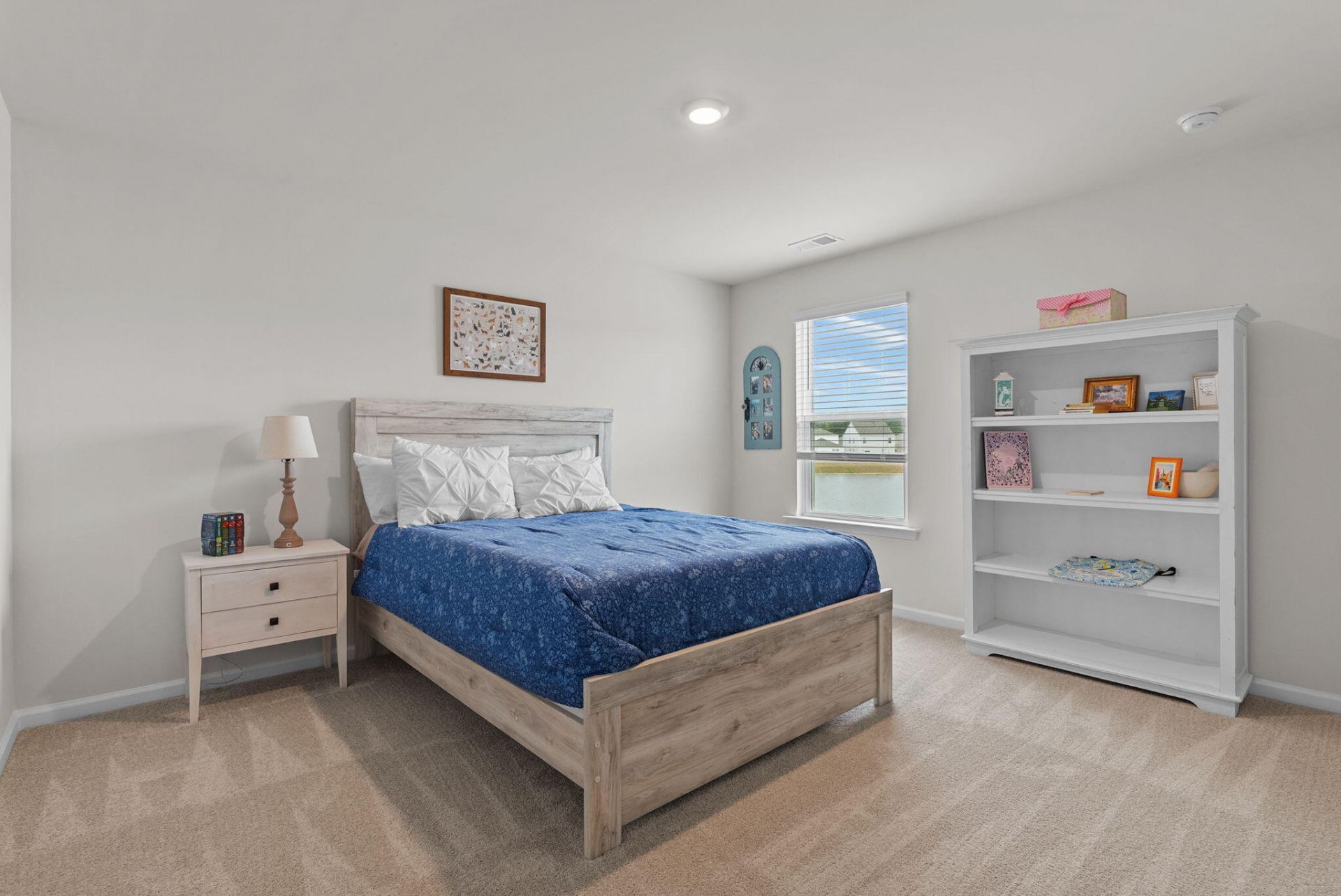 134 Ivory Shadow Road Photo 26