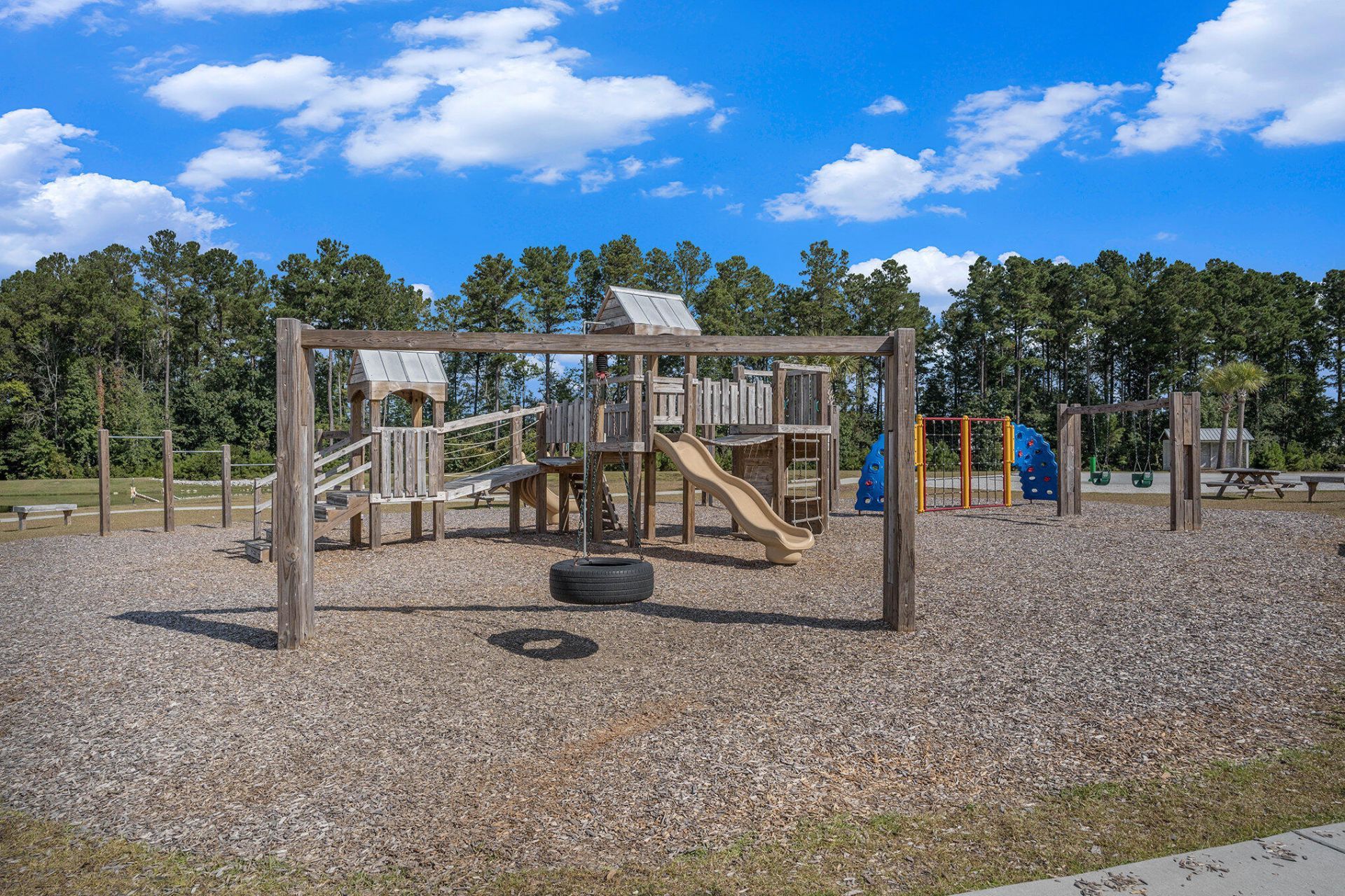 134 Ivory Shadow Road Photo 39