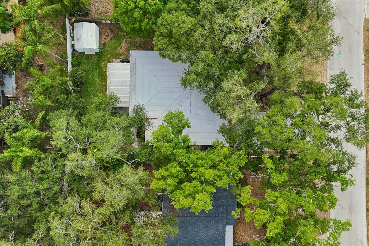 2920 W Ellis Drive, Tampa, FL 33611 Photo
