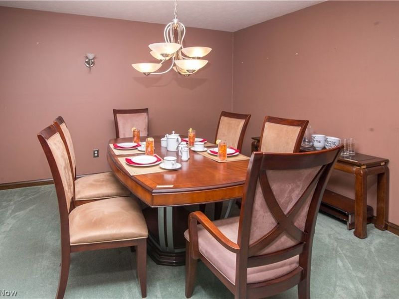 113 Olson, Stow, OH 44262 Photo 5